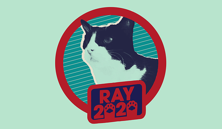 Vote Ray